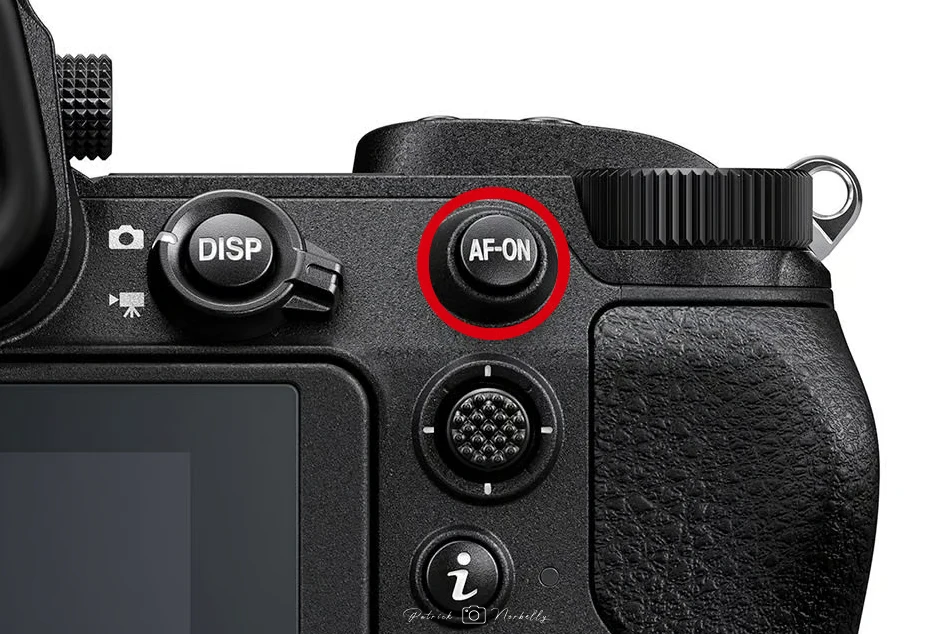 Back button focus