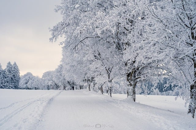 Photographier la neige 1