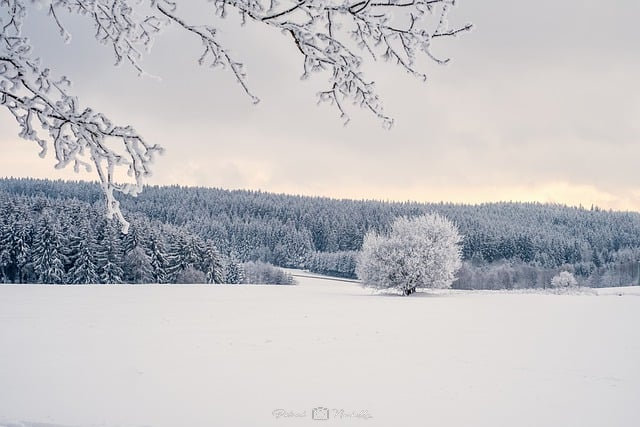 Photographier la neige