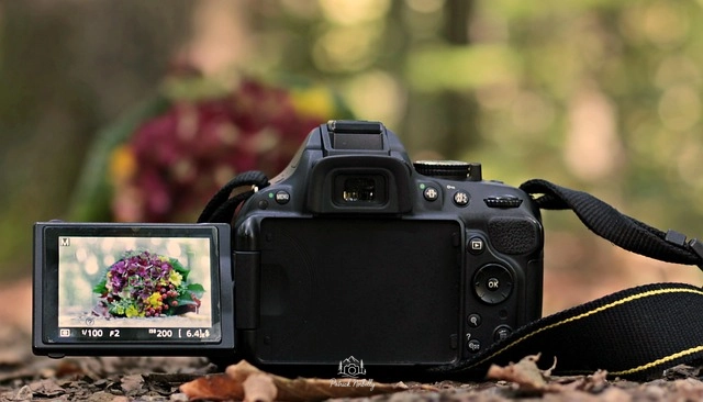 appareils photo APS-C