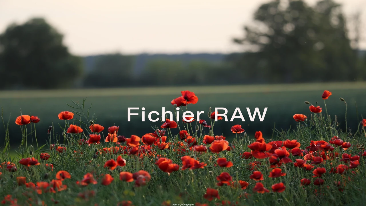 Fichier raw