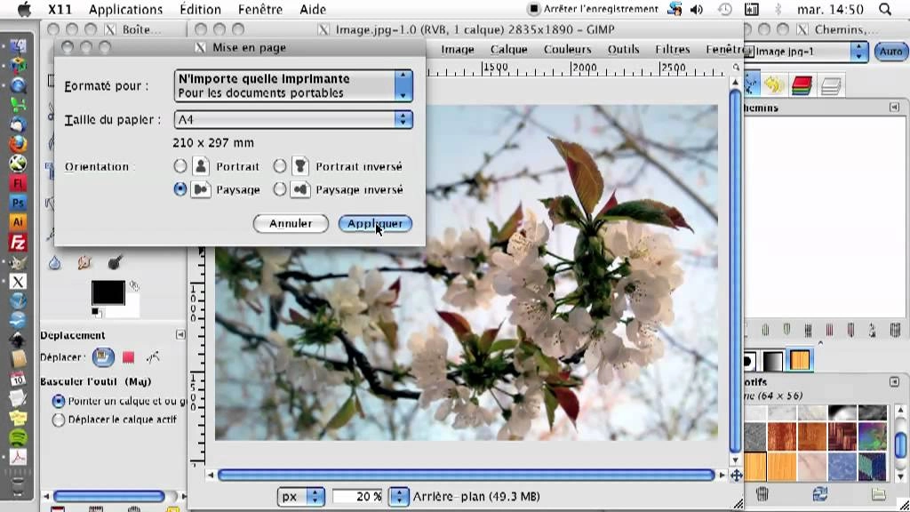 GIMP 3