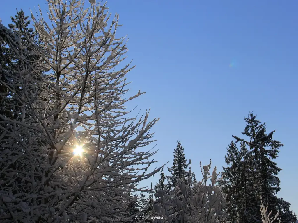 Lens flare 1
