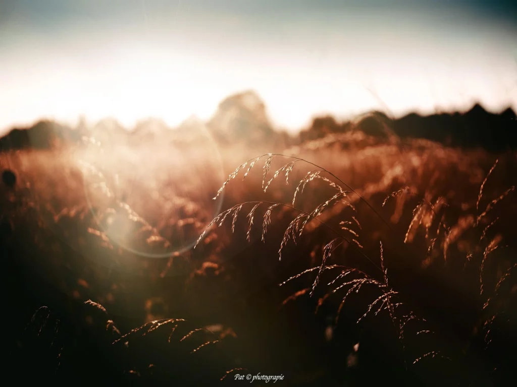 Lens flare 4